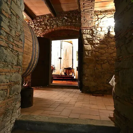 Castellinuzza