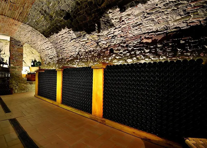 Castellinuzza Farma *