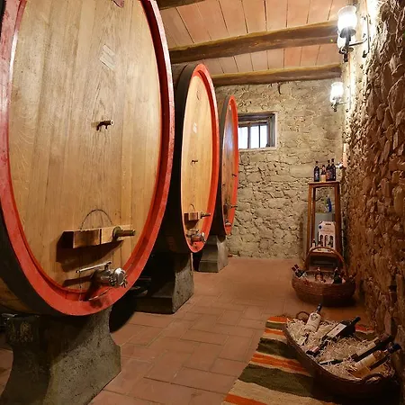 مزرعة للإقامة Castellinuzza *