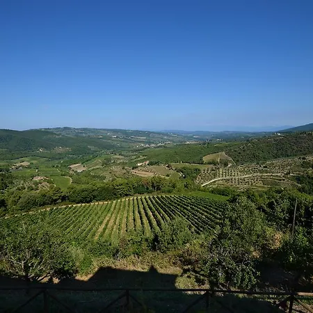Lantgård Castellinuzza Greve in Chianti